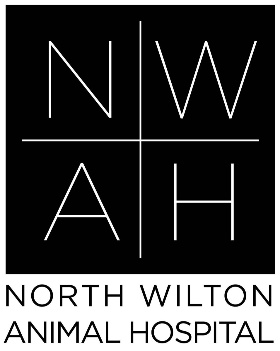 Animal Hospital Identity